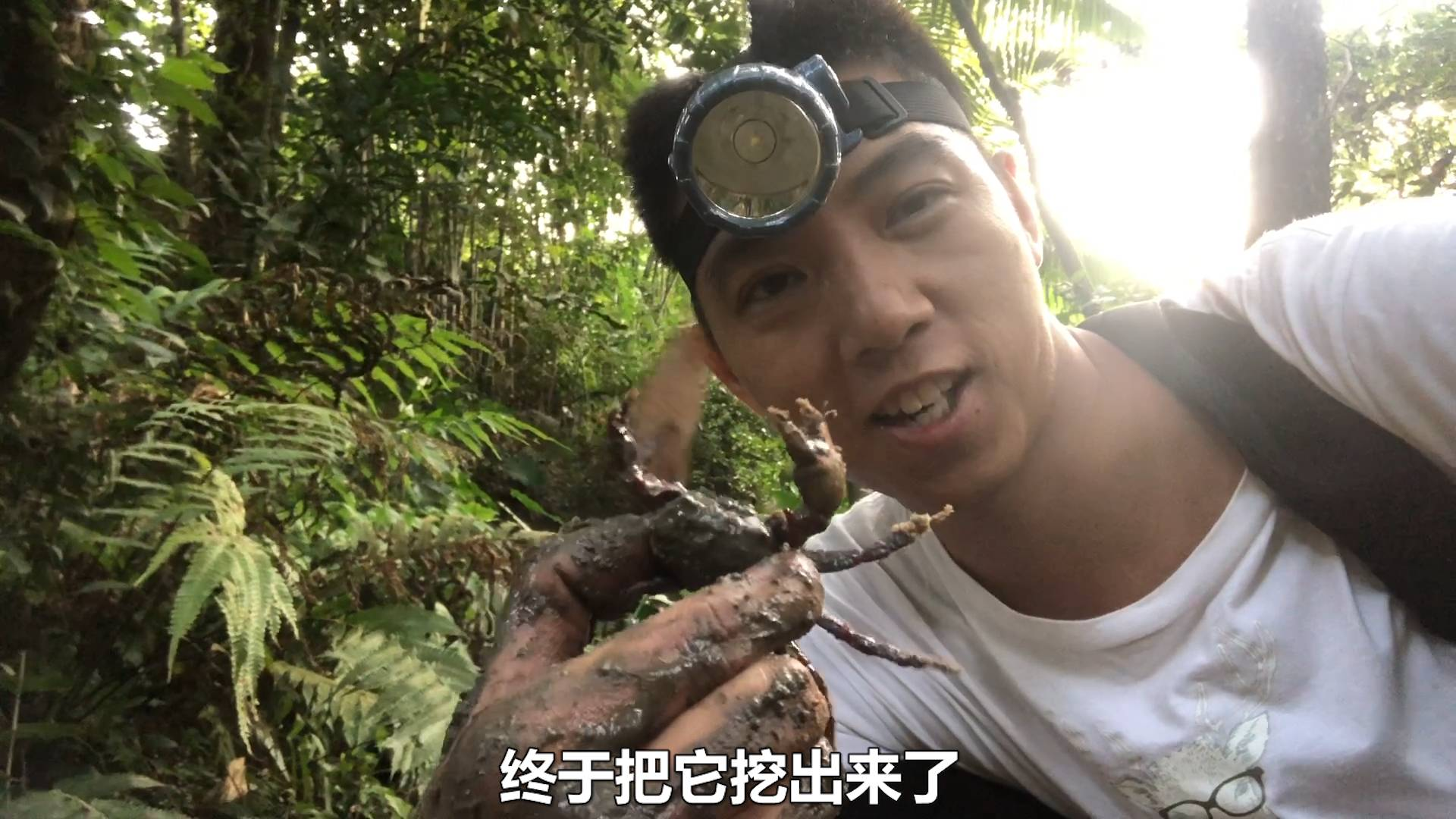 去山上找一种溪蟹,一个可以卖到50块钱,农村小时候经常抓到!